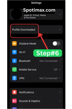 screenshot of how to download and install Tweakbox app in iphone step#6