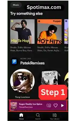 screenshot of How to clear queue on spotify and how to add songs in queue step 1