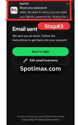 screenshot of how to reset spotify password step 3