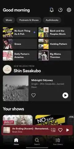 Screenshot of How to get Spotify Ai DJ from music feed step 1