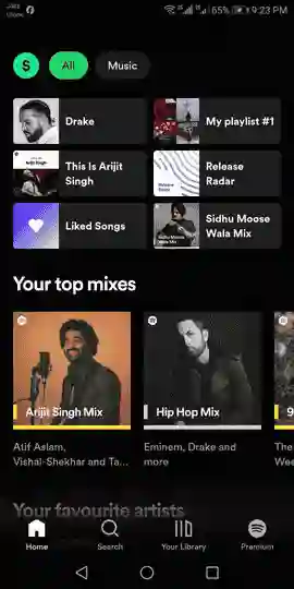 Screenshot of How to play all of the songs by an artist on Spotify method 3 step 1