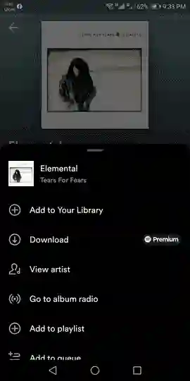 Screenshot of How to play all of the songs by an artist on Spotify method 3 step 6